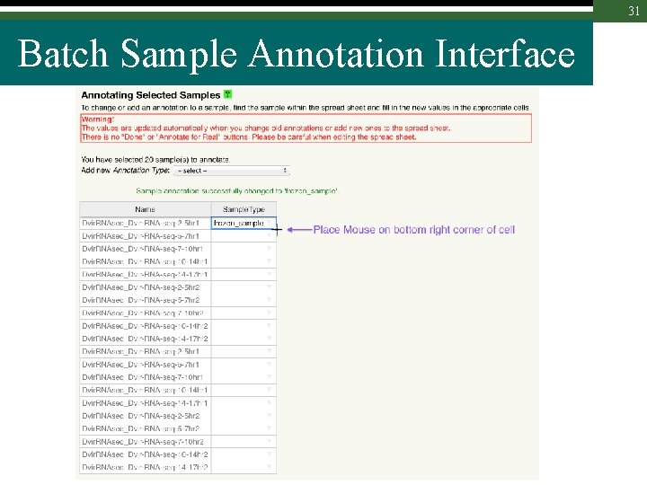 31 Batch Sample Annotation Interface 