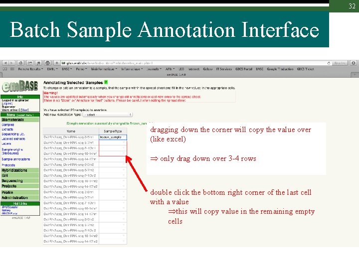 32 Batch Sample Annotation Interface dragging down the corner will copy the value over