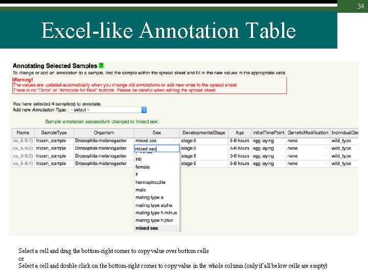 34 Excel-like Annotation Table Select a cell and drag the bottom-right corner to copy