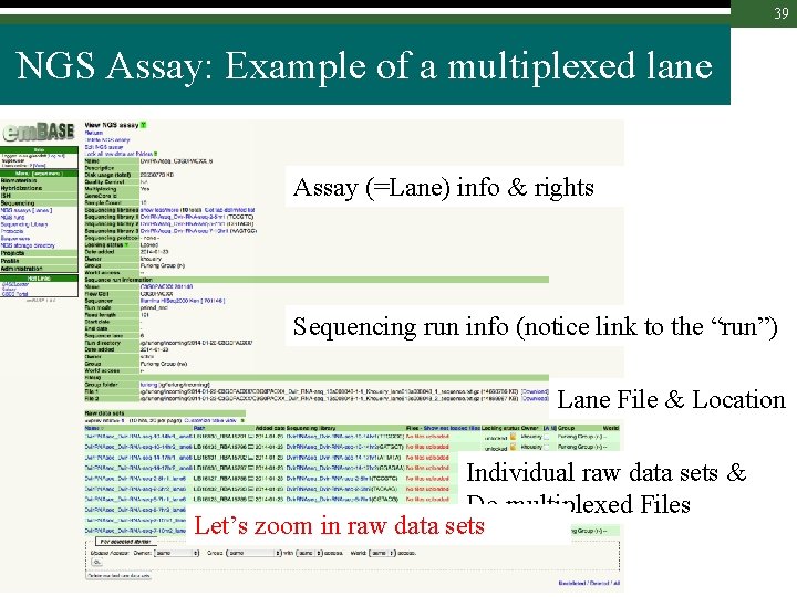 39 NGS Assay: Example of a multiplexed lane Assay (=Lane) info & rights Sequencing