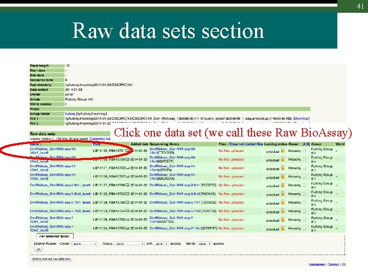 41 Raw data sets section Click one data set (we call these Raw Bio.