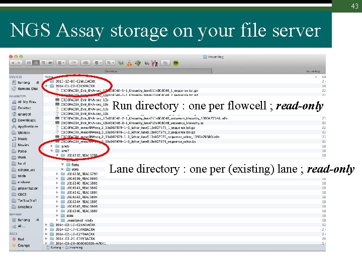 43 NGS Assay storage on your file server Run directory : one per flowcell
