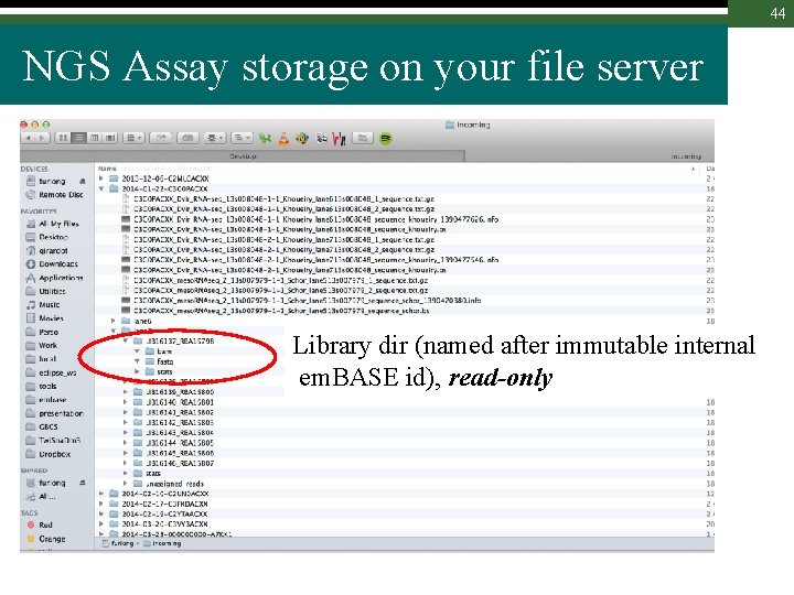 44 NGS Assay storage on your file server Library dir (named after immutable internal