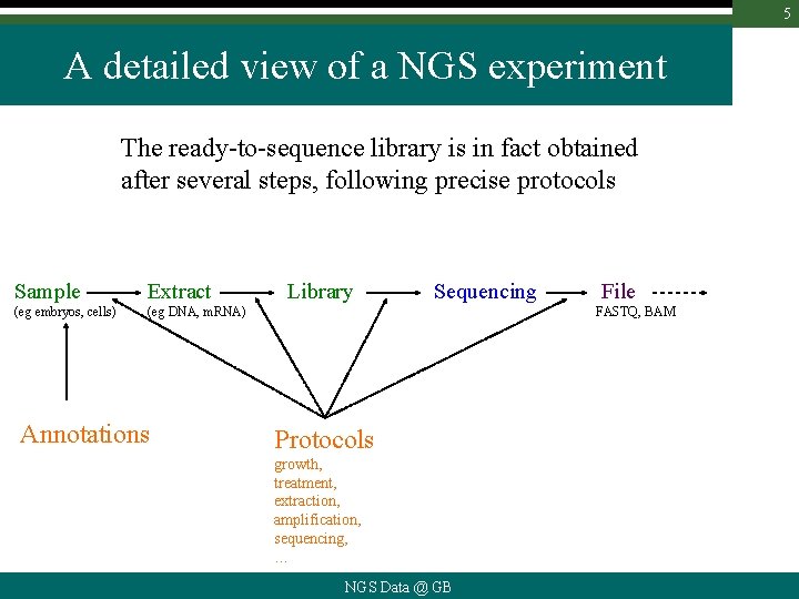 5 A detailed view of a NGS experiment The ready-to-sequence library is in fact
