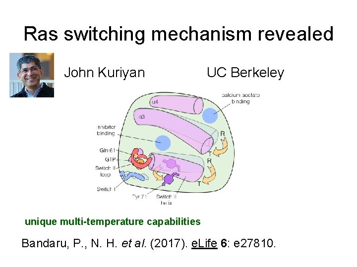 Ras switching mechanism revealed John Kuriyan UC Berkeley unique multi-temperature capabilities Bandaru, P. ,