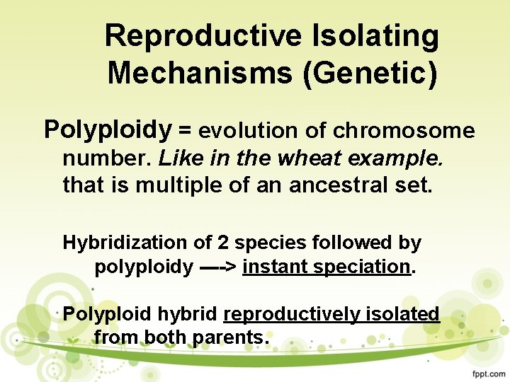 Reproductive Isolating Mechanisms (Genetic) Polyploidy = evolution of chromosome number. Like in the wheat
