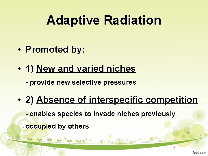 Adaptive Radiation • Promoted by: • 1) New and varied niches - provide new