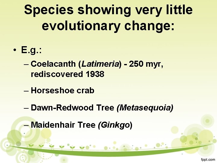 Species showing very little evolutionary change: • E. g. : – Coelacanth (Latimeria) -