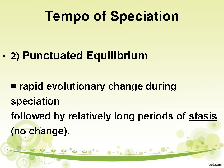 Tempo of Speciation • 2) Punctuated Equilibrium = rapid evolutionary change during speciation followed
