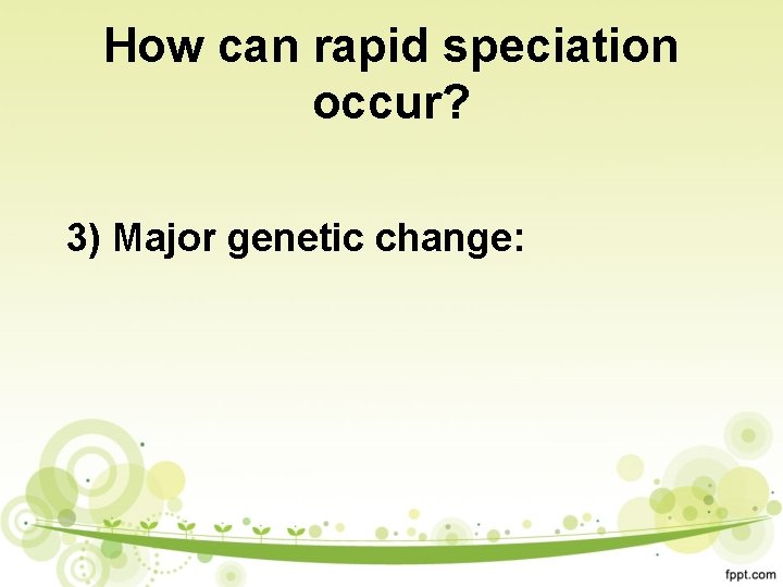 How can rapid speciation occur? 3) Major genetic change: 