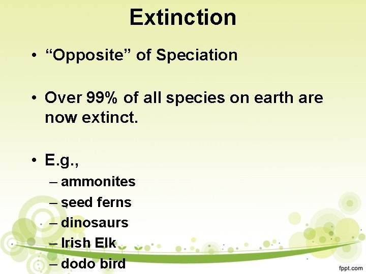 Extinction • “Opposite” of Speciation • Over 99% of all species on earth are