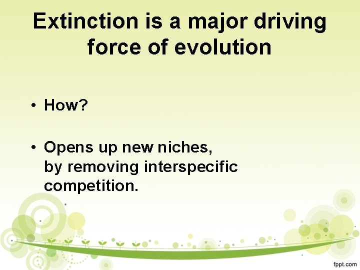 Extinction is a major driving force of evolution • How? • Opens up new