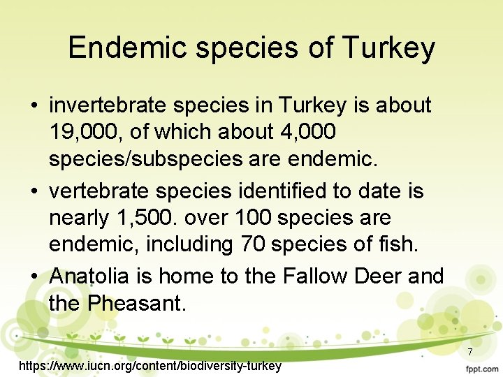 Endemic species of Turkey • invertebrate species in Turkey is about 19, 000, of
