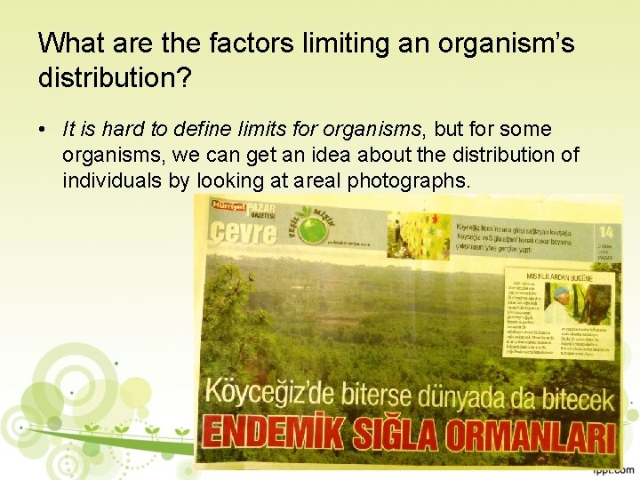 What are the factors limiting an organism’s distribution? • It is hard to define