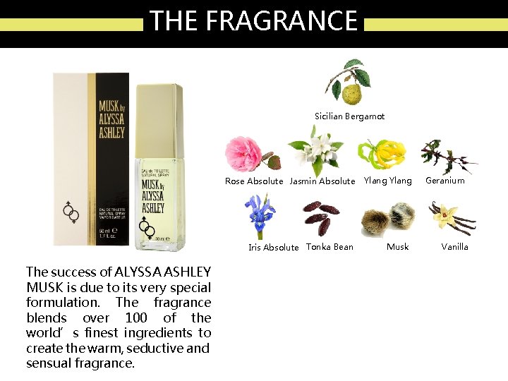 THE FRAGRANCE Sicilian Bergamot Rose Absolute Jasmin Absolute Iris Absolute Tonka Bean The success