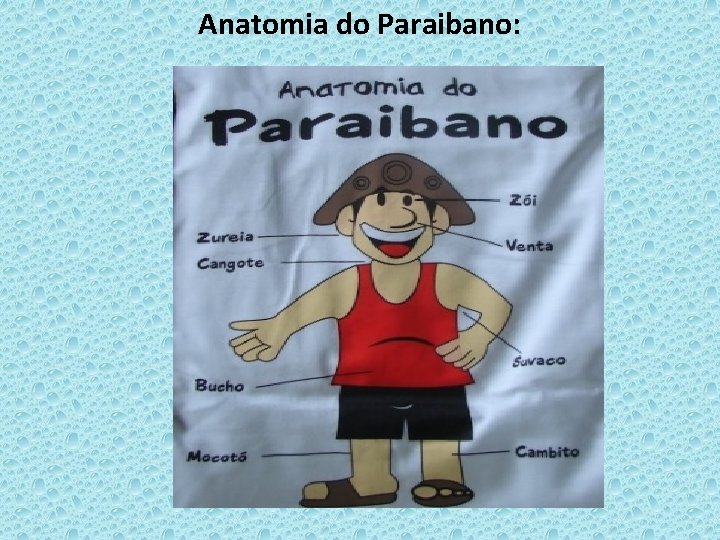 Anatomia do Paraibano: 