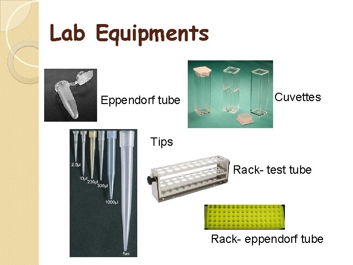 Lab Equipments Eppendorf tube Cuvettes Tips Rack- test tube Rack- eppendorf tube 