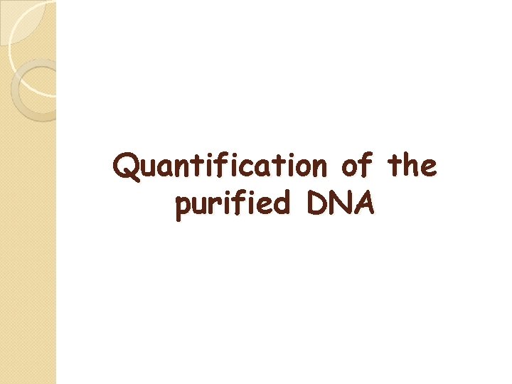 Quantification of the purified DNA 