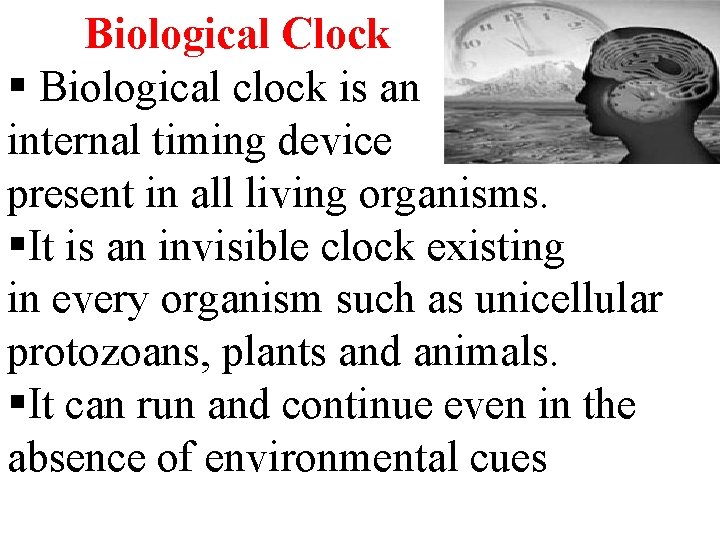 Biological Clock § Biological clock is an internal timing device present in all living