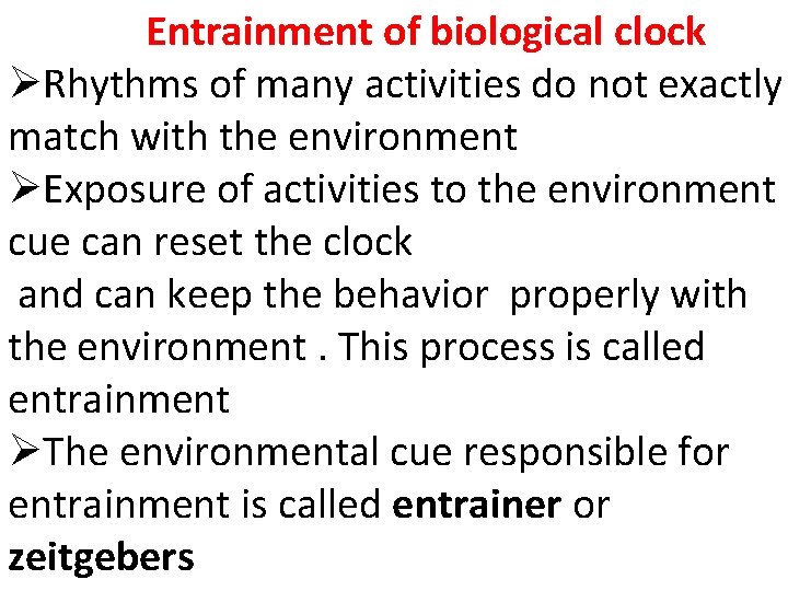 Entrainment of biological clock ØRhythms of many activities do not exactly match with the