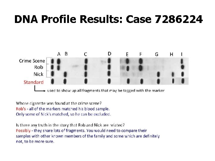 DNA Profile Results: Case 7286224 