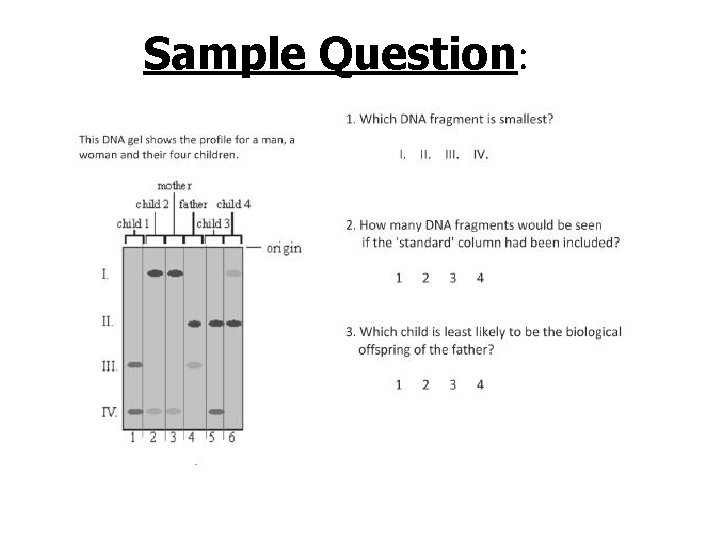 Sample Question: 