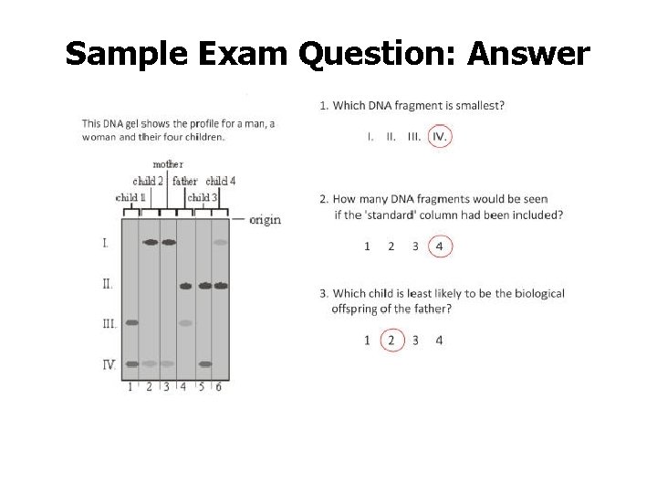 Sample Exam Question: Answer 