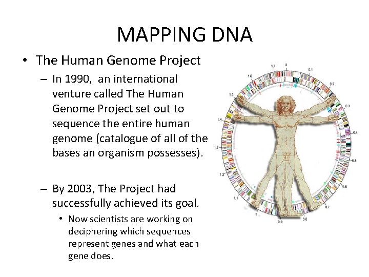 MAPPING DNA • The Human Genome Project – In 1990, an international venture called