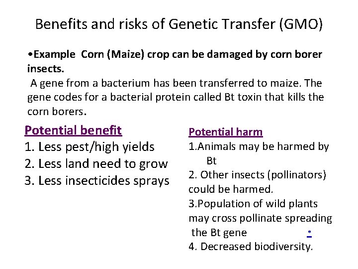 Benefits and risks of Genetic Transfer (GMO) • Example Corn (Maize) crop can be