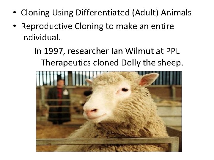  • Cloning Using Differentiated (Adult) Animals • Reproductive Cloning to make an entire