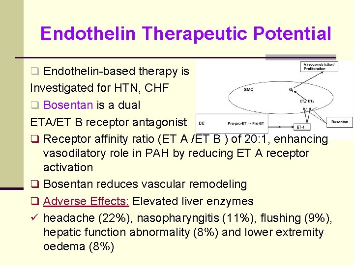 Endothelin Therapeutic Potential q Endothelin-based therapy is Investigated for HTN, CHF q Bosentan is