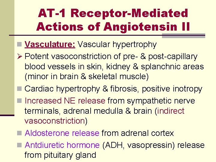 AT-1 Receptor-Mediated Actions of Angiotensin II n Vasculature: Vascular hypertrophy Ø Potent vasoconstriction of