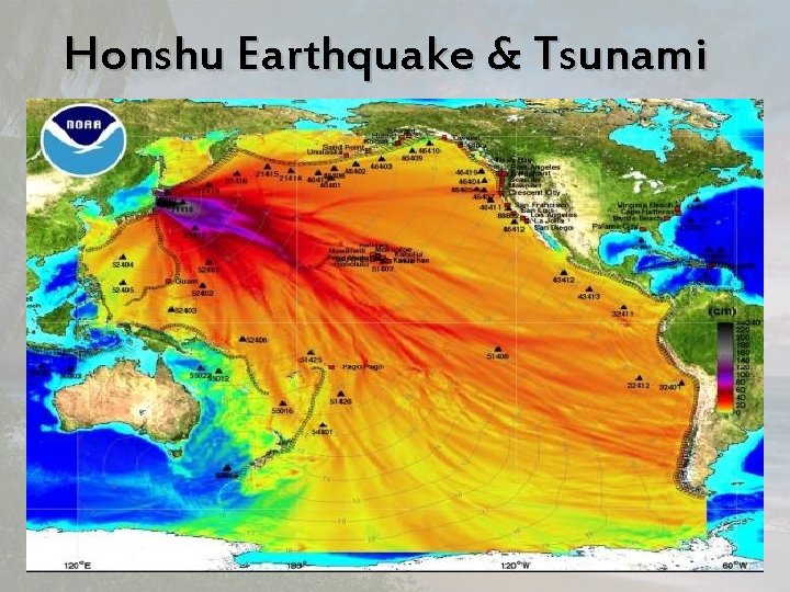 Honshu Earthquake & Tsunami 