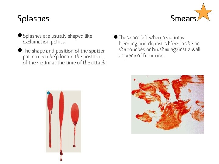 Splashes ● Splashes are usually shaped like exclamation points. ● The shape and position