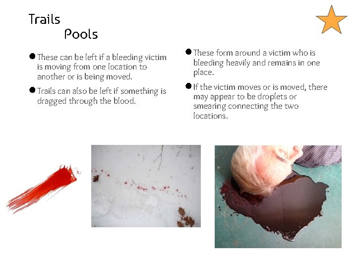 Trails Pools ● These can be left if a bleeding victim ● These form
