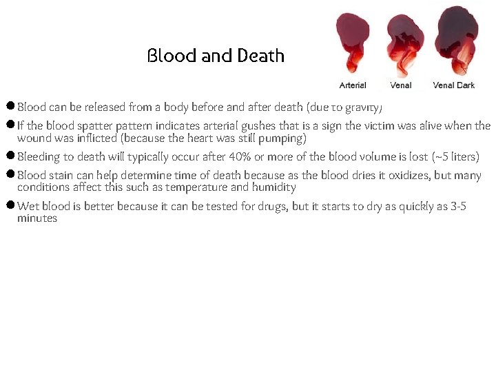 Blood and Death ● Blood can be released from a body before and after
