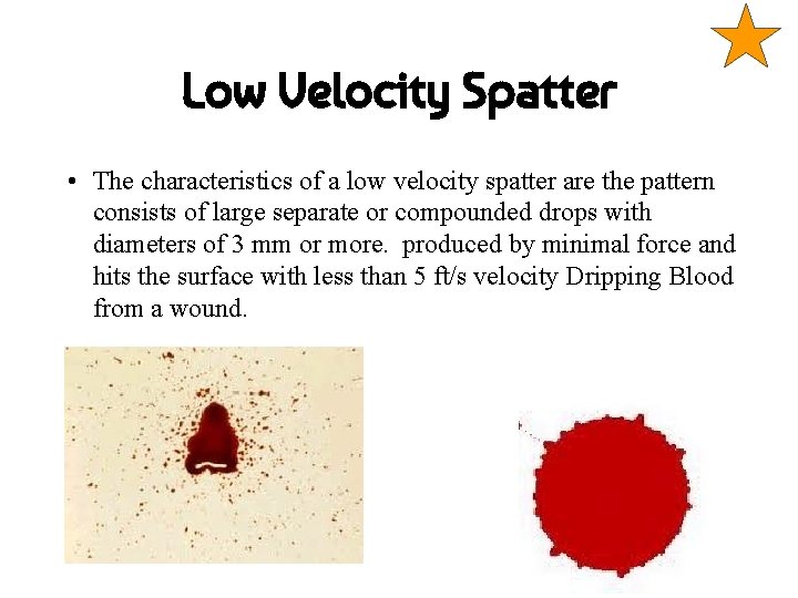 Low Velocity Spatter • The characteristics of a low velocity spatter are the pattern