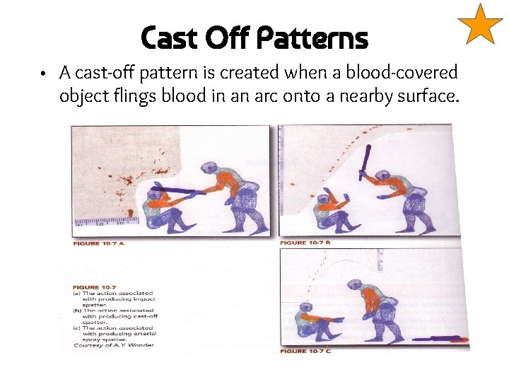 Cast Off Patterns • A cast-off pattern is created when a blood-covered object flings