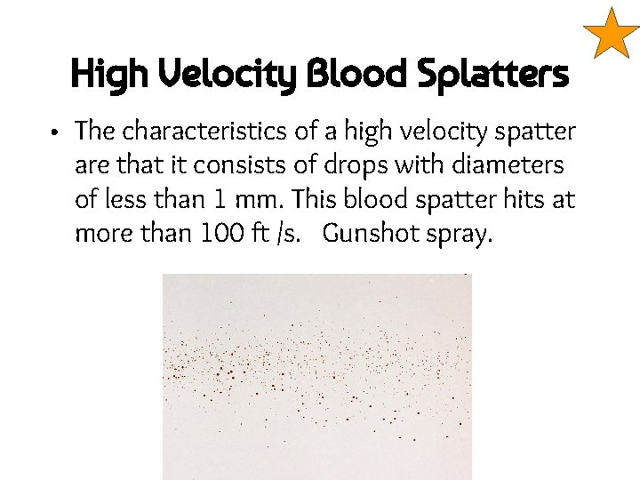 High Velocity Blood Splatters • The characteristics of a high velocity spatter are that