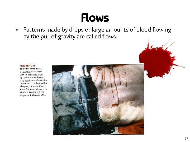 Flows • Patterns made by drops or large amounts of blood flowing by the