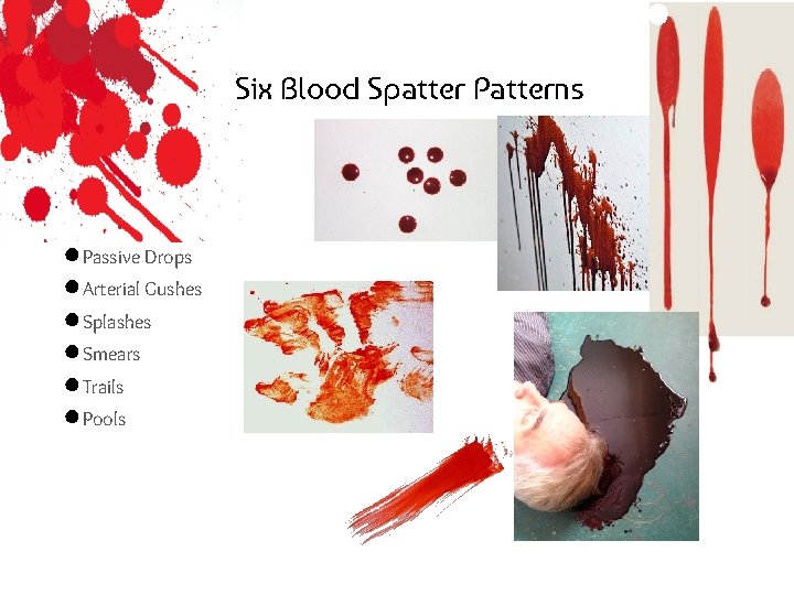 Six Blood Spatter Patterns ● Passive Drops ● Arterial Gushes ● Splashes ● Smears