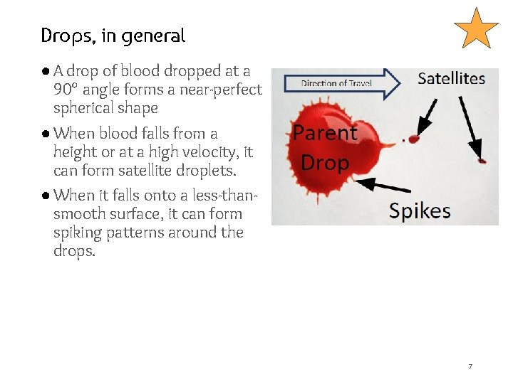 Drops, in general ● A drop of blood dropped at a 90° angle forms