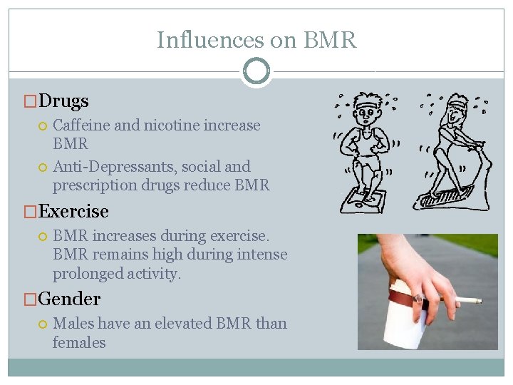 Influences on BMR �Drugs Caffeine and nicotine increase BMR Anti-Depressants, social and prescription drugs