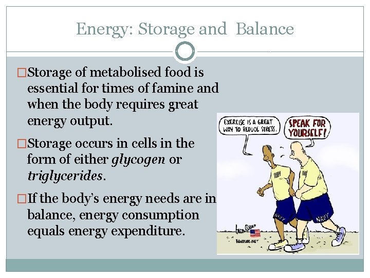 Energy: Storage and Balance �Storage of metabolised food is essential for times of famine