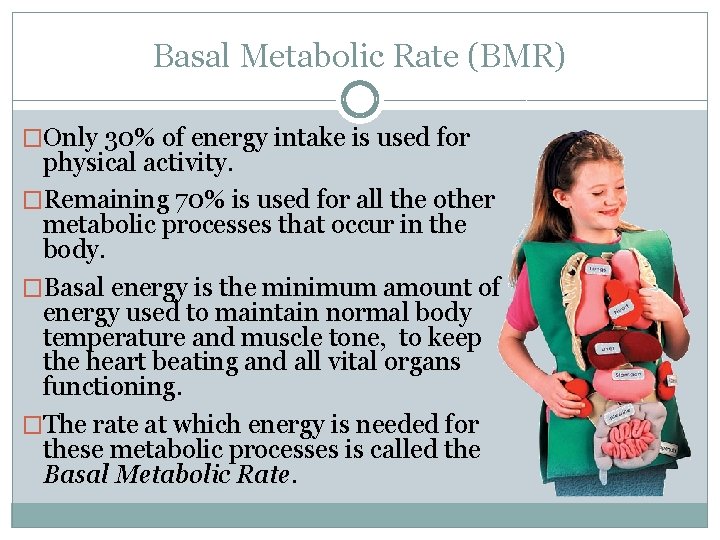 Basal Metabolic Rate (BMR) �Only 30% of energy intake is used for physical activity.