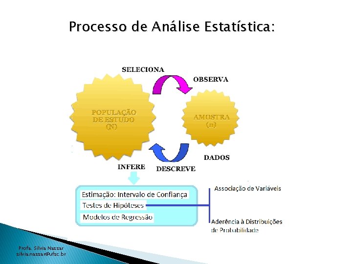 Processo de Análise Estatística: Profa. Silvia Nassar silvia. nassar@ufsc. br 