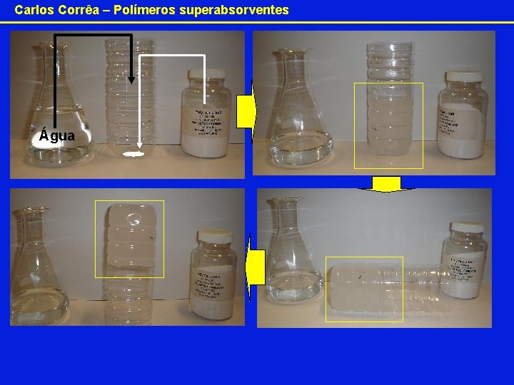 Carlos Corrêa – Polímeros superabsorventes Água 