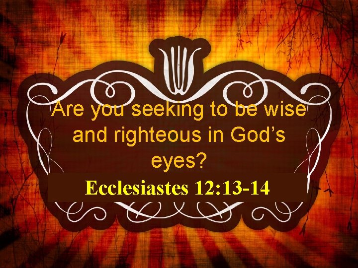 Are you seeking to be wise and righteous in God’s eyes? Ecclesiastes 12: 13