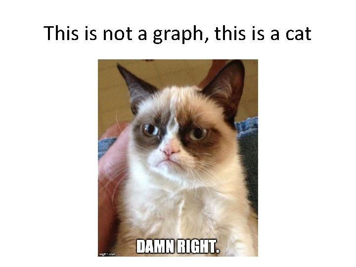 This is not a graph, this is a cat 