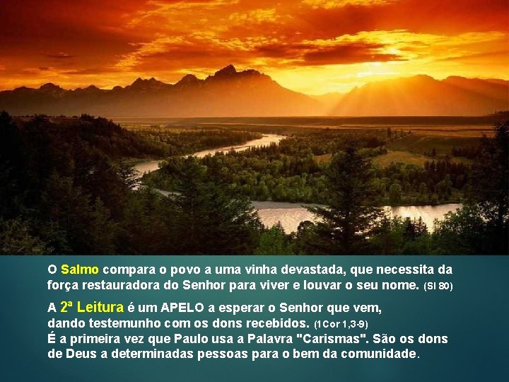 O Salmo compara o povo a uma vinha devastada, que necessita da força restauradora